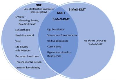 This is your brain on death: a comparative analysis of a near-death experience and subsequent 5-Methoxy-DMT experience